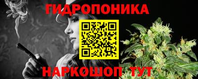 молекула духа Берёзовский