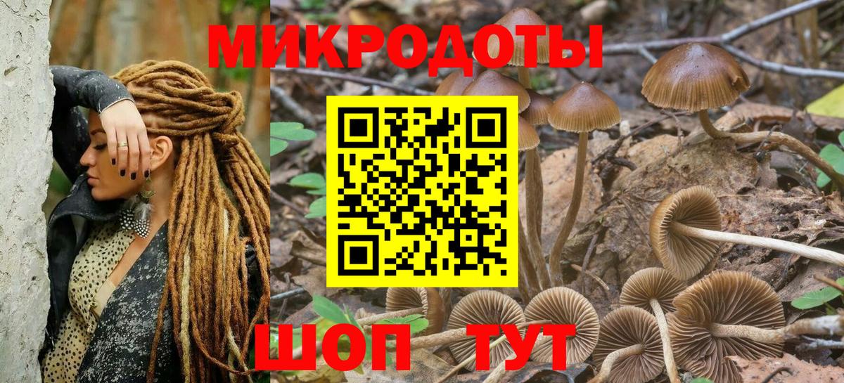 Гуково  Псилоцибиновые грибы GOLDEN TEACHER  Вход с VPN 